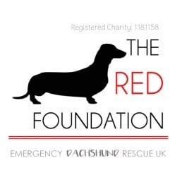 The RED Foundation - Emergency Dachshund Rescue